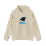 Carolina Panthers Hooded Sweatshirt