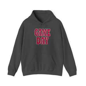 Arizona Game Day Unisex Heavy Blend™ Hooded Sweatshirt