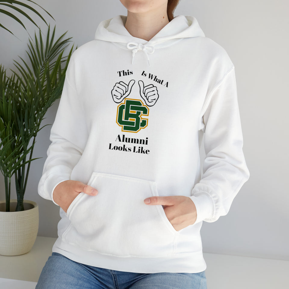 Bessemer City Alumni Unisex Heavy Blend™ Hooded Sweatshirt