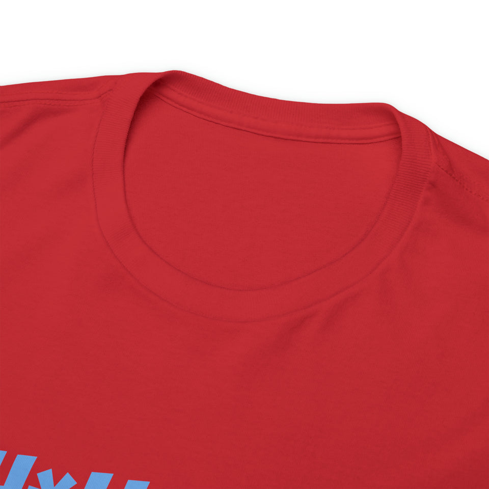 Tennessee Titans Football Unisex Heavy Cotton Tee