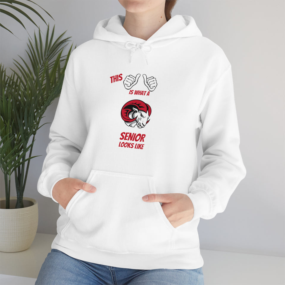 This Is What A WSSU Senior Looks Like Unisex Heavy Blend™ Hooded Sweatshirt