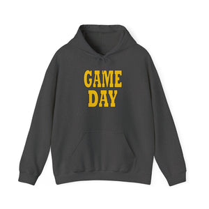 Pittsburgh Game Day Unisex Heavy Blend™ Hooded Sweatshirt