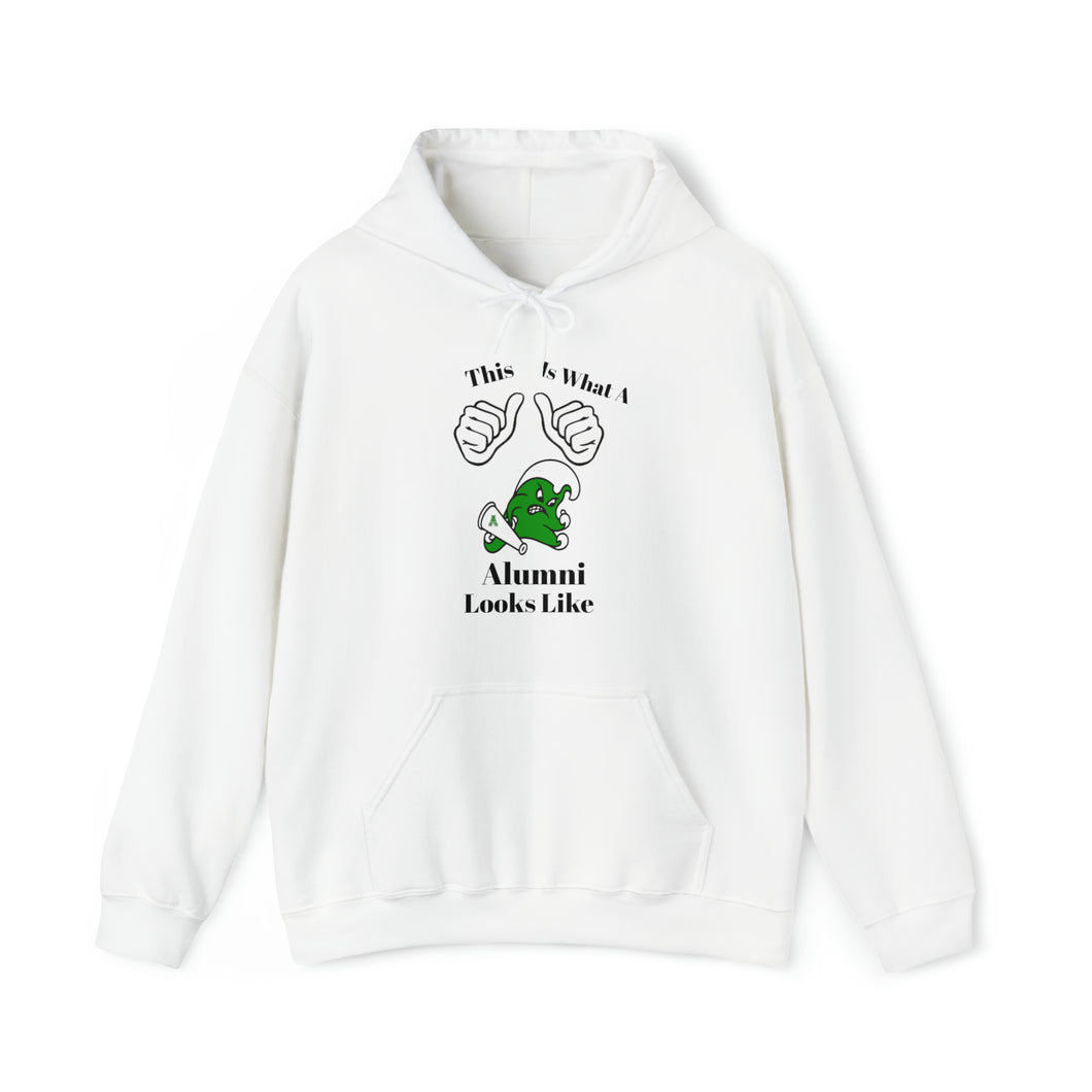 Ashbrook Alumni Unisex Heavy Blend™ Hooded Sweatshirt