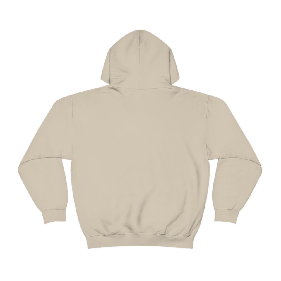 Village Christian Academy Unisex Heavy Blend™ Hooded Sweatshirt