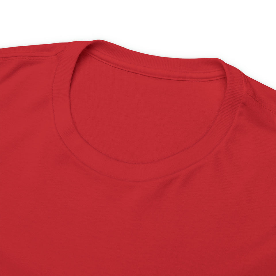 Forty Unisex Heavy Cotton Tee