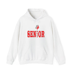 South Point HS Senior 2027 Unisex Heavy Blend™ Hooded Sweatshirt