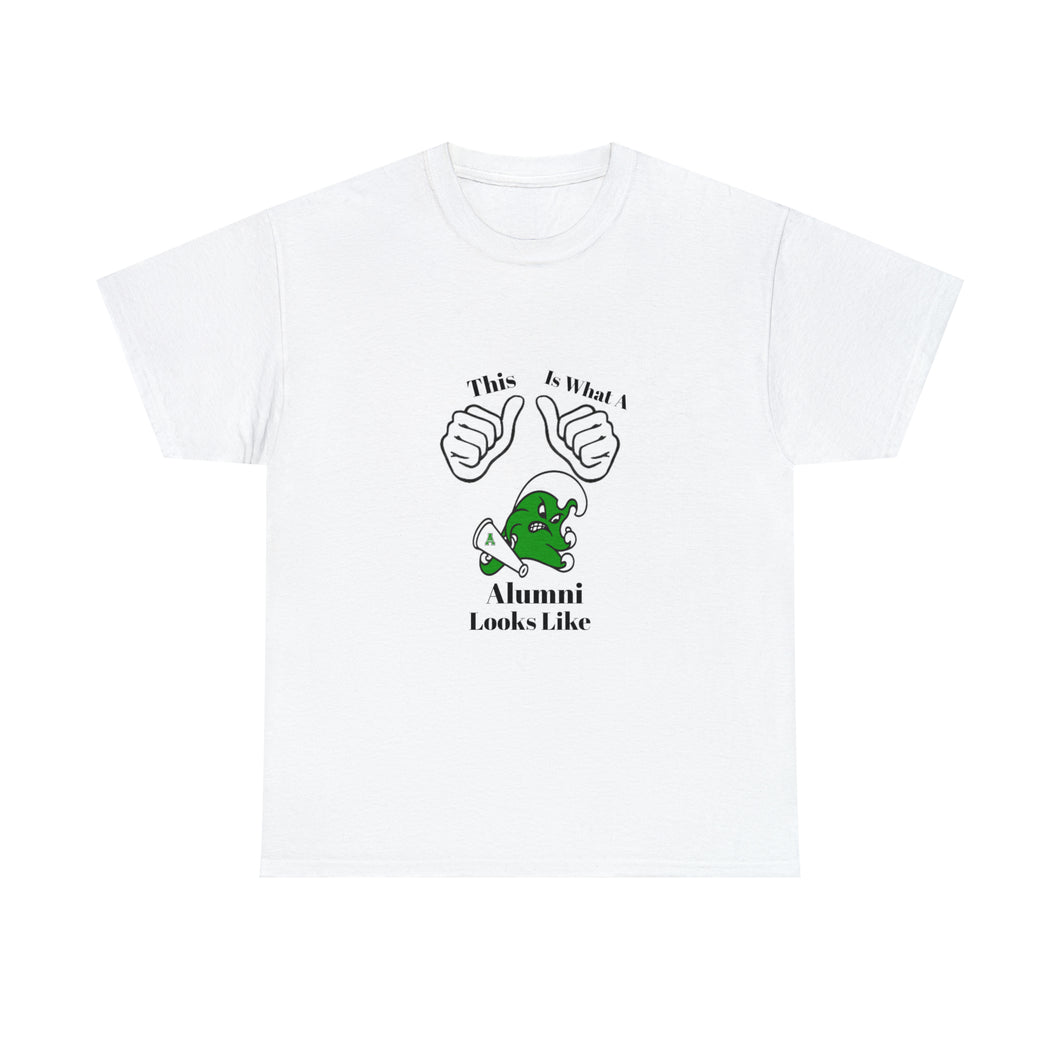 Ashbrook Alumni Unisex Heavy Cotton Tee