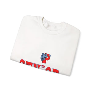 Piedmont HS Unisex Heavy Blend™ Crewneck Sweatshirt