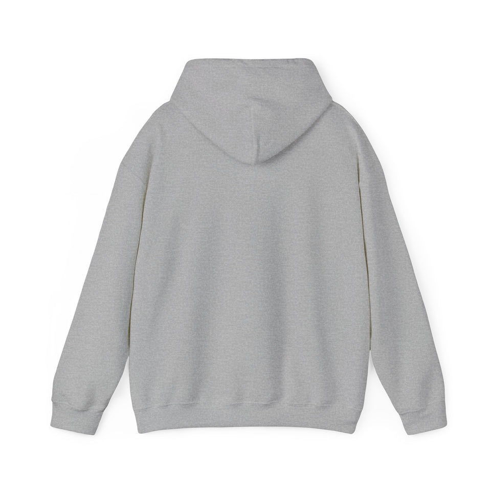 East Voyager Academy Unisex Heavy Blend™ Hooded Sweatshirt