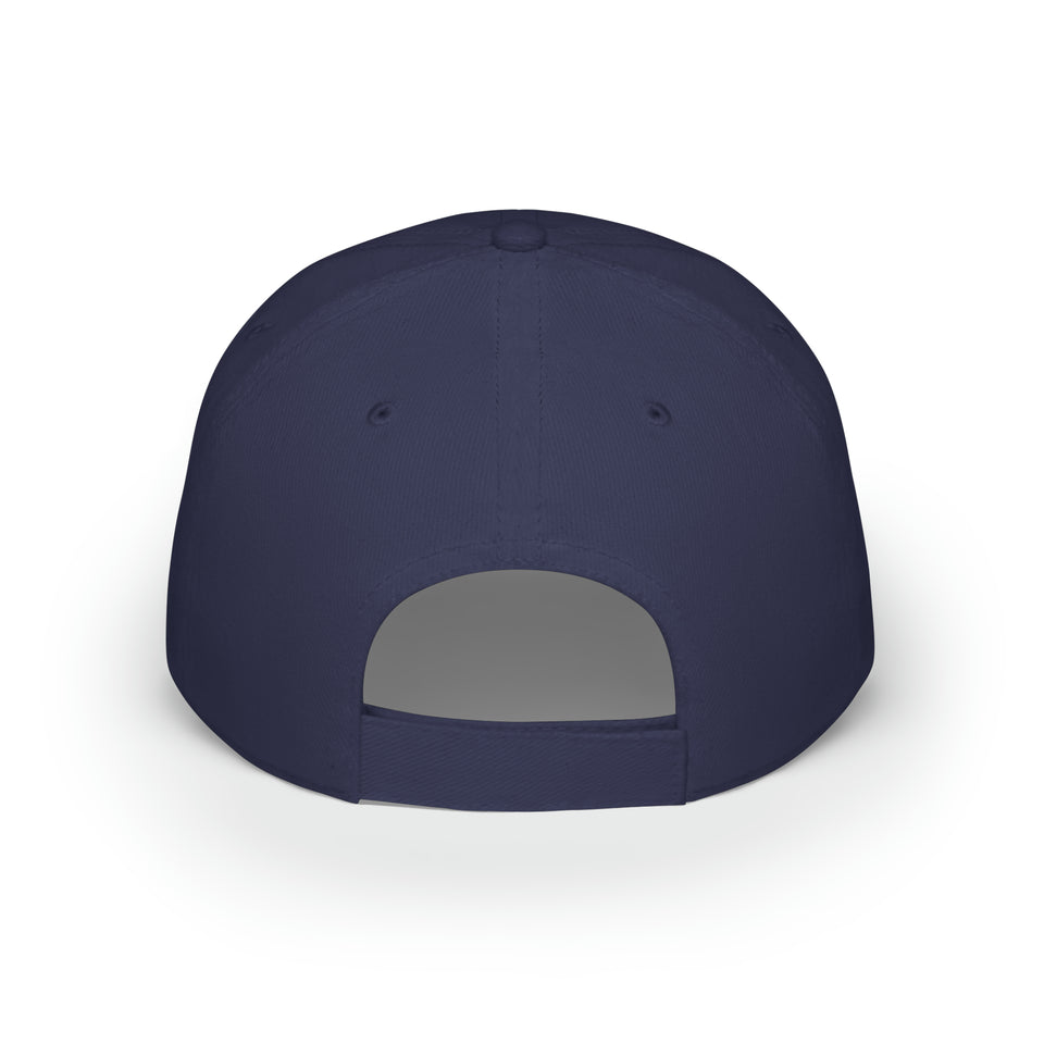 Lake Norman Charter School Low Profile Baseball Cap