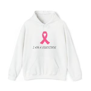 Breast Cancer Awareness Hooded Sweatshirt