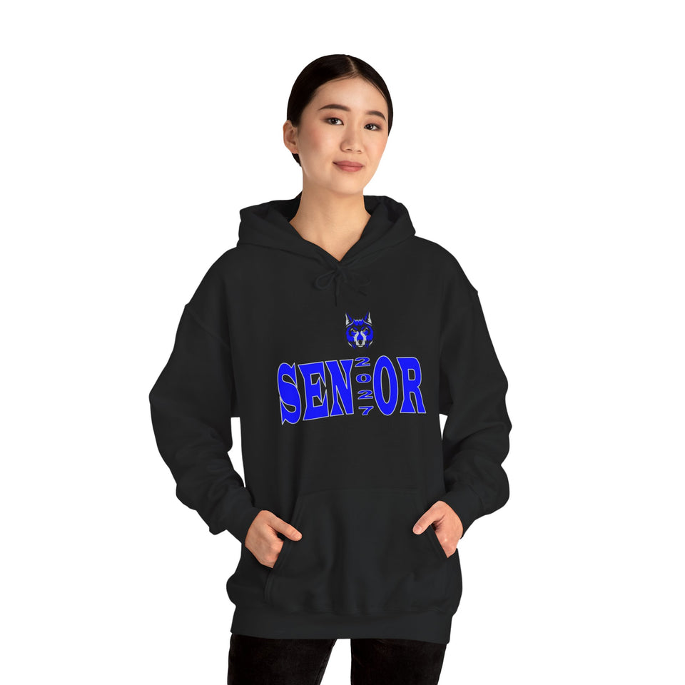 Parkwood HS Senior 2027 Unisex Heavy Blend™ Hooded Sweatshirt