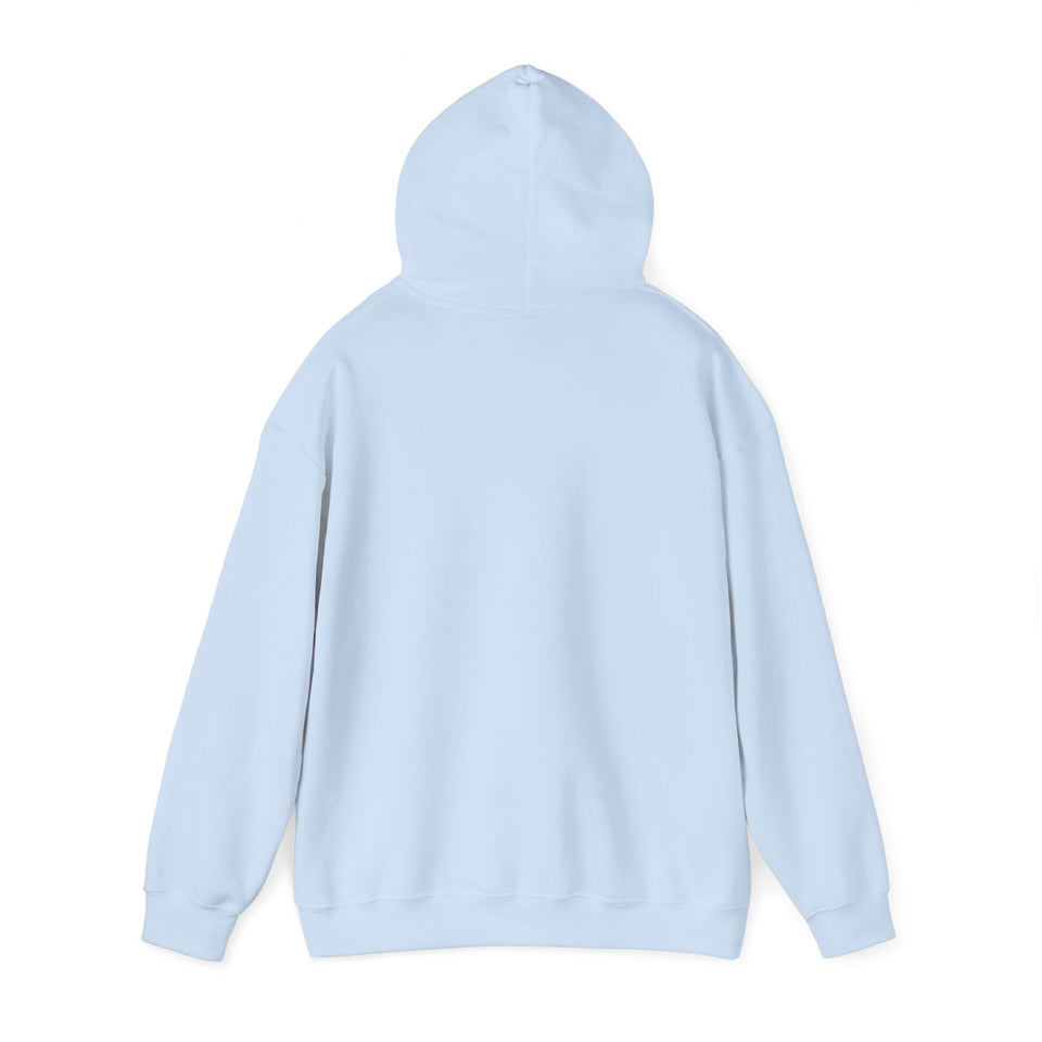 East Voyager Academy Unisex Heavy Blend™ Hooded Sweatshirt