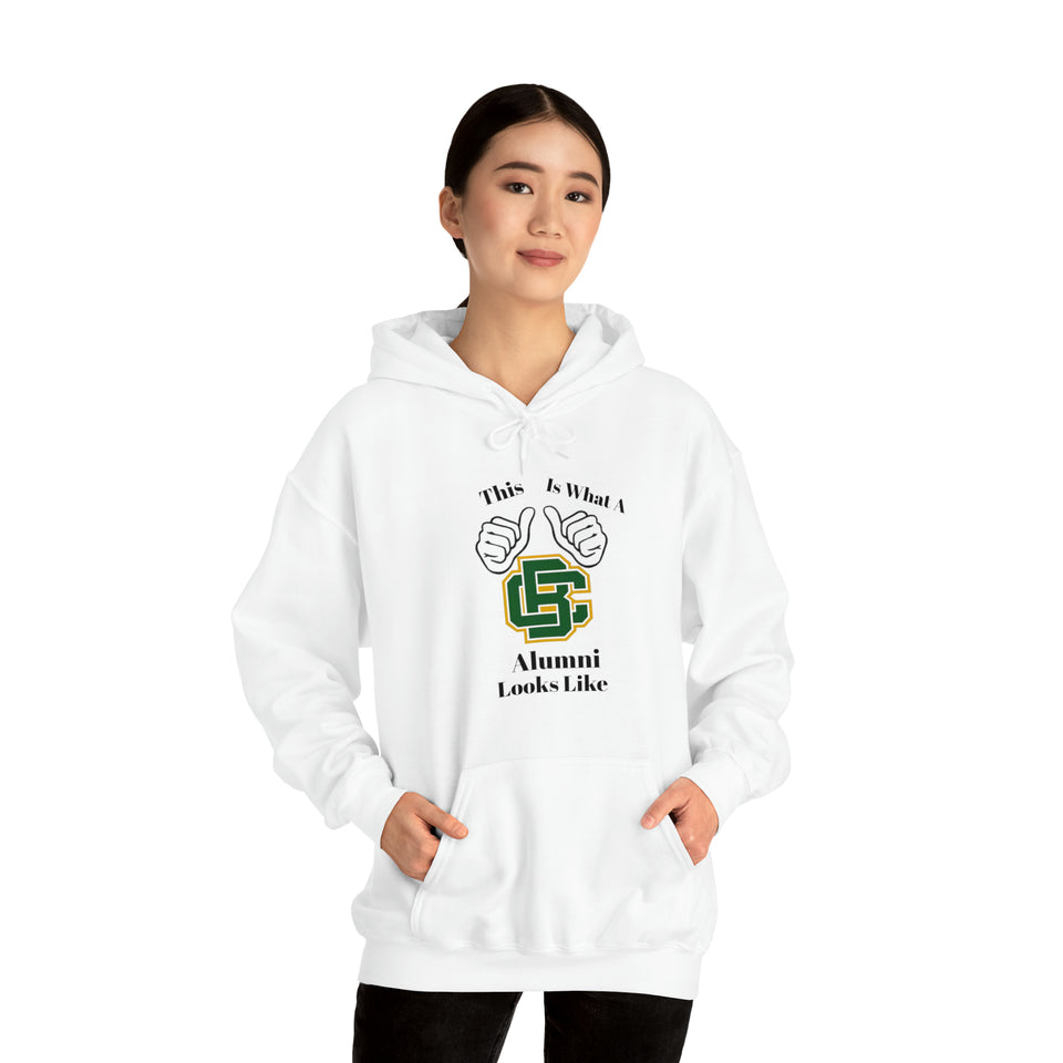 Bessemer City Alumni Unisex Heavy Blend™ Hooded Sweatshirt