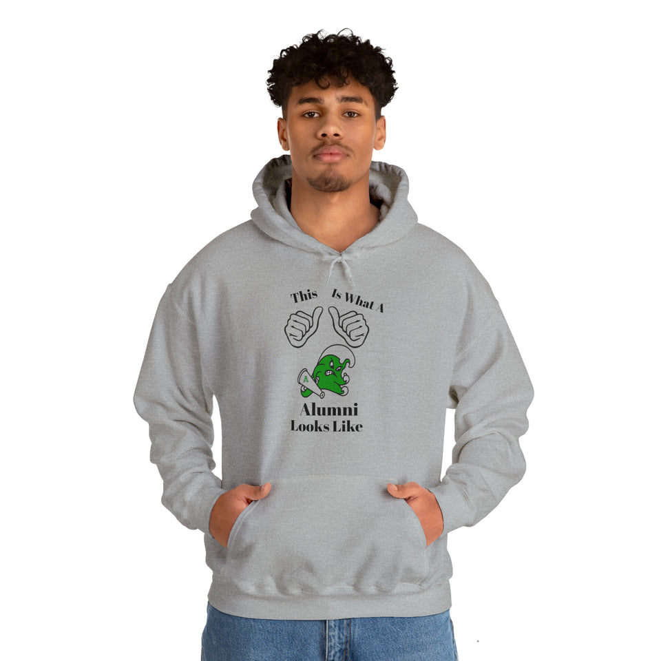 Ashbrook Alumni Unisex Heavy Blend™ Hooded Sweatshirt