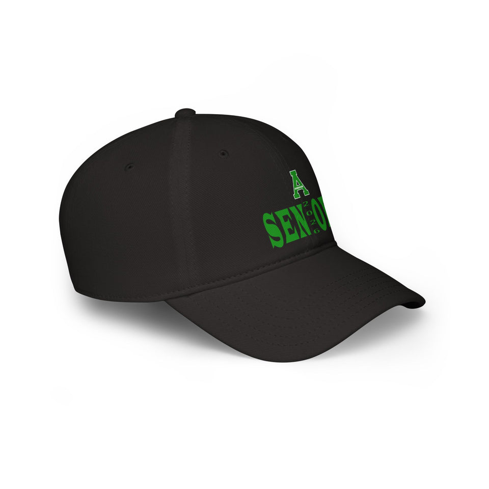 Ashbrook HS Low Profile Baseball Cap