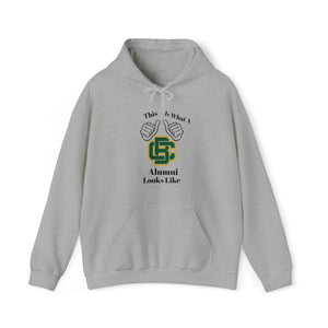 Bessemer City Alumni Unisex Heavy Blend™ Hooded Sweatshirt