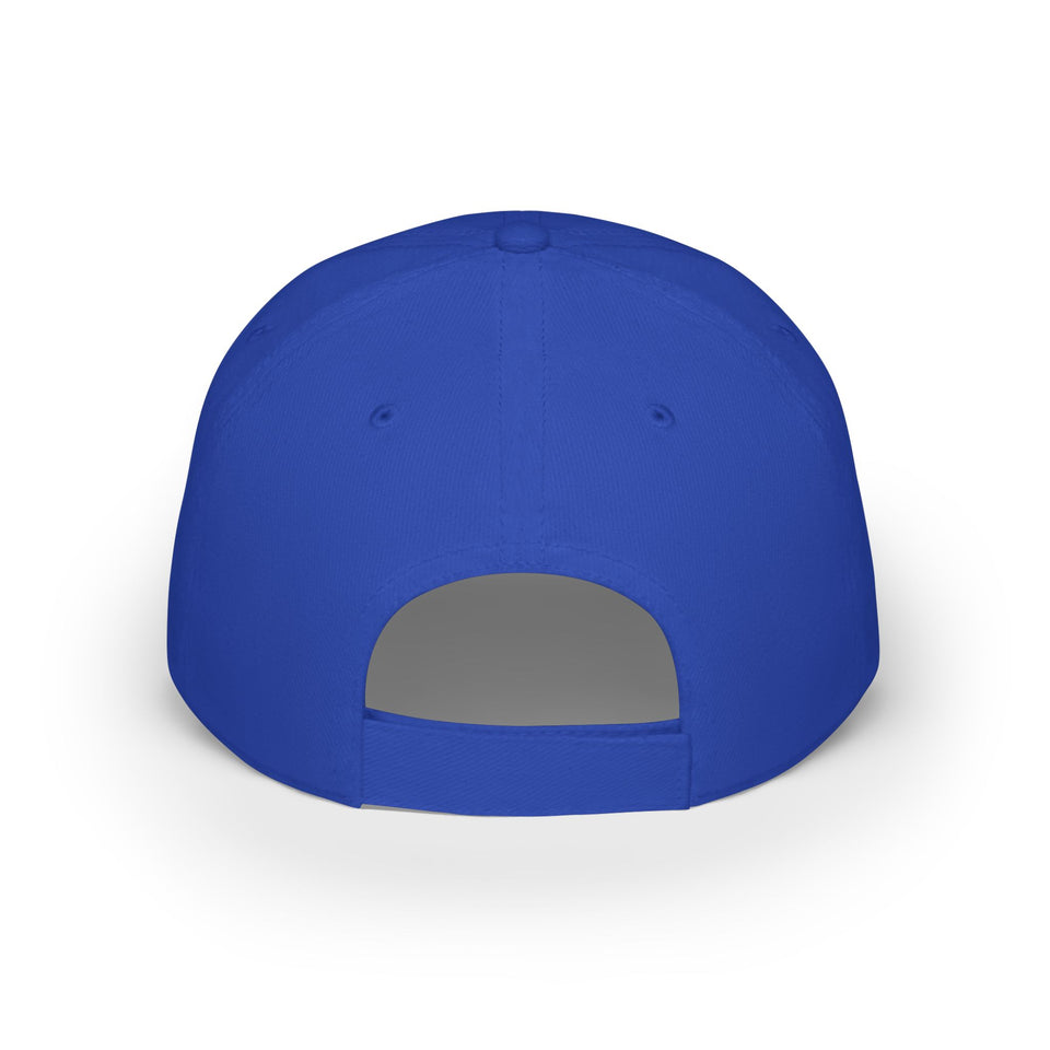 Harris Walz 2024 Low Profile Baseball Cap