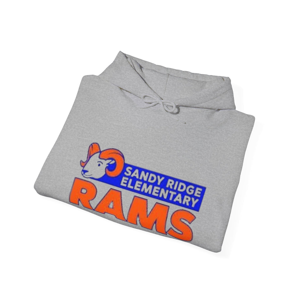 Sandy Ridge Elementary Unisex Heavy Blend™ Hooded Sweatshirt