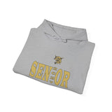 North Gaston HS Senior 2027 Unisex Heavy Blend™ Hooded Sweatshirt