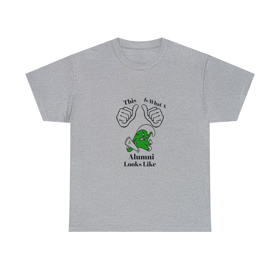 Ashbrook Alumni Unisex Heavy Cotton Tee