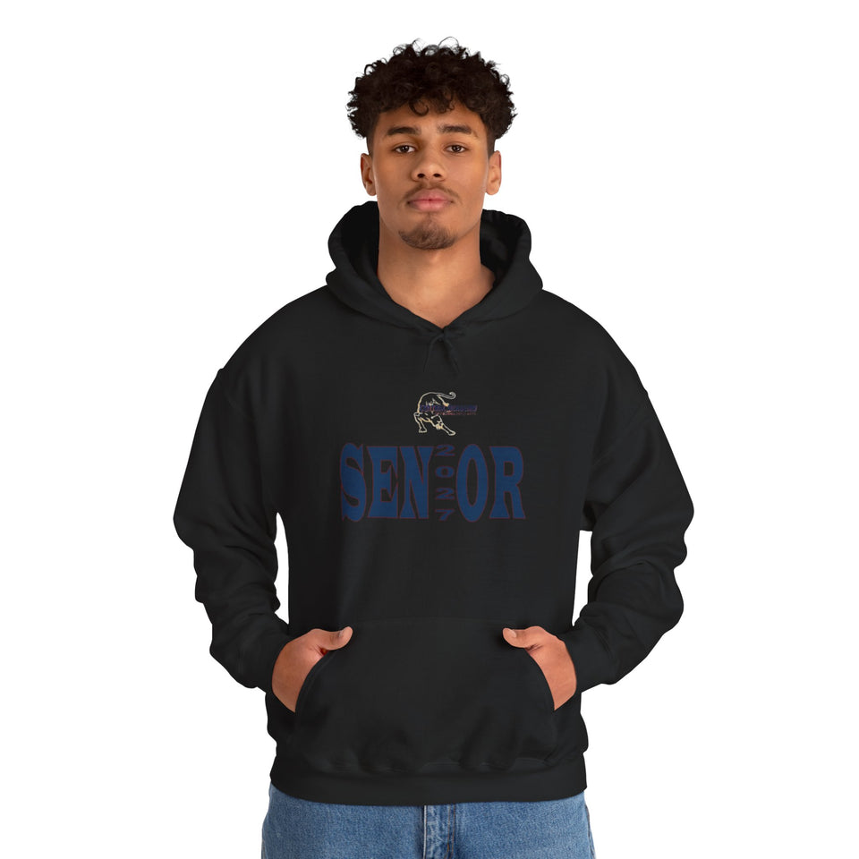 Central Academy of Tech & Arts Senior 2027 Unisex Heavy Blend™ Hooded Sweatshirt