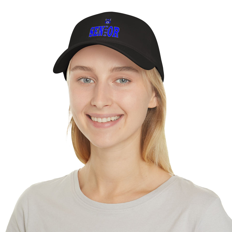 Parkwood HS Low Profile Baseball Cap
