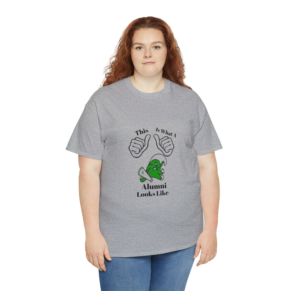 Ashbrook Alumni Unisex Heavy Cotton Tee