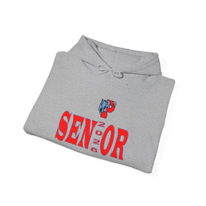 Piedmont HS Unisex Heavy Blend™ Hooded Sweatshirt