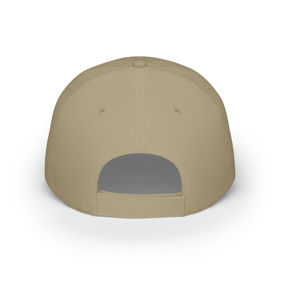 Lake Norman Charter School Low Profile Baseball Cap
