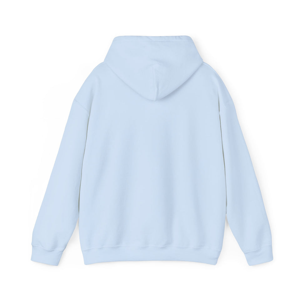 East Voyager Academy Unisex Heavy Blend™ Hooded Sweatshirt