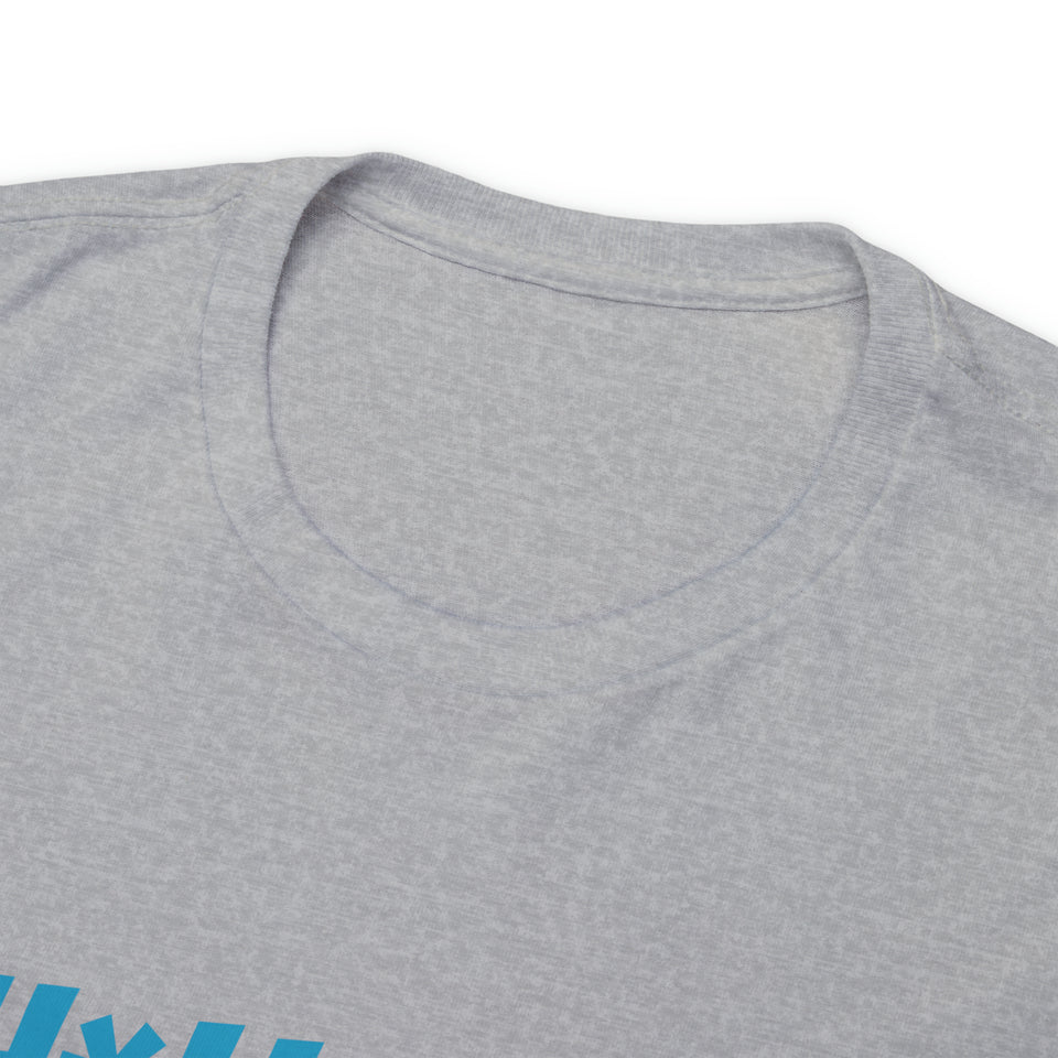 Carolina Panthers Football Unisex Heavy Cotton Tee