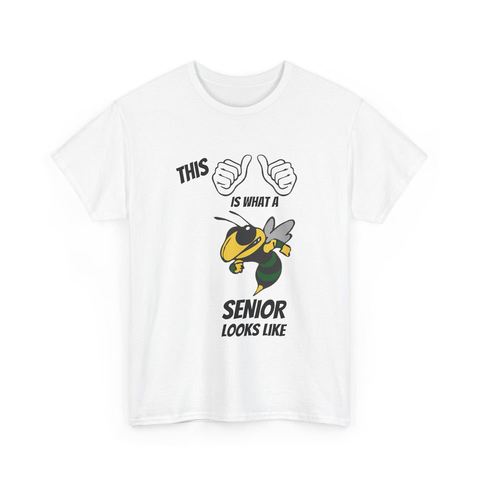 This Is What A Bessemer City High School Senior Looks Like Class Of 2025 Unisex Heavy Cotton Tee