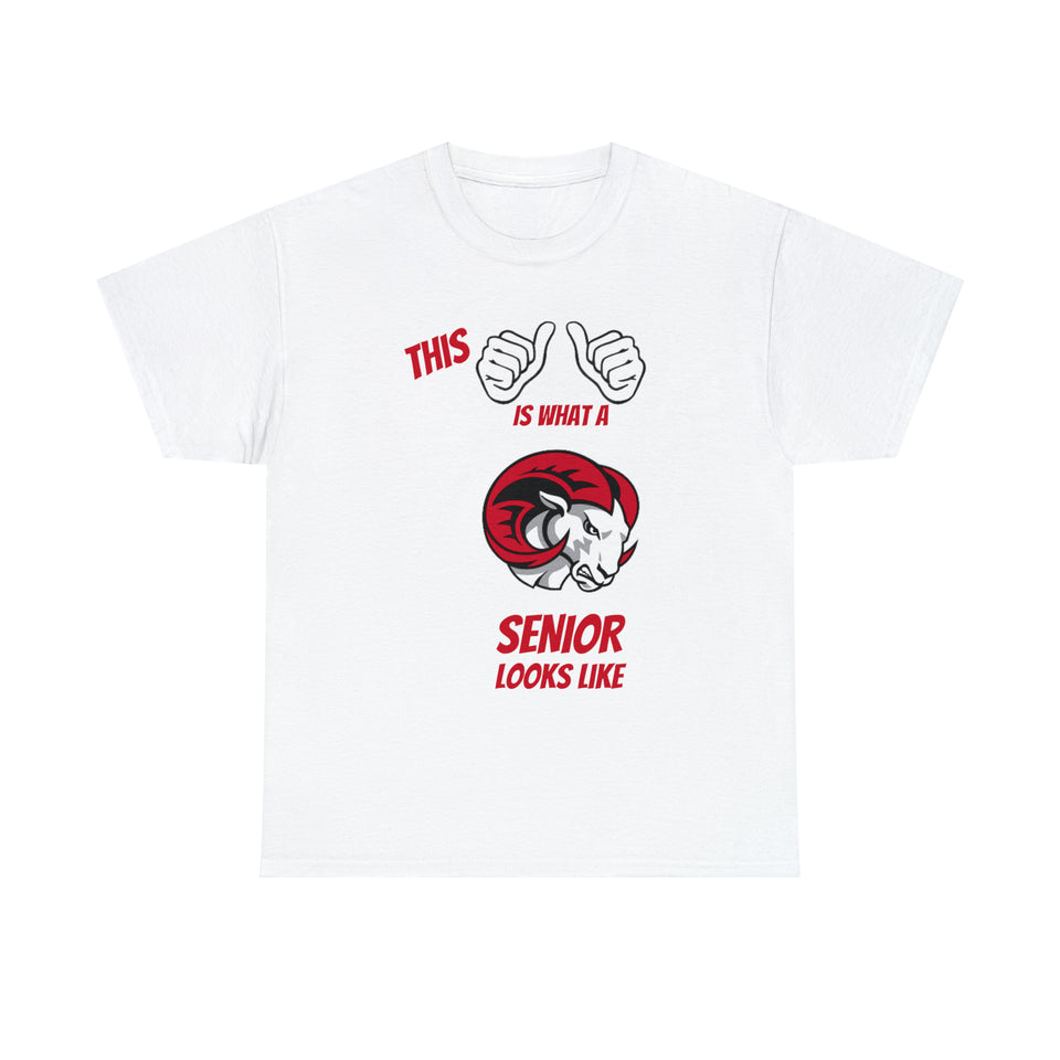 This Is What A WSSU Senior Looks Like Unisex Heavy Cotton Tee