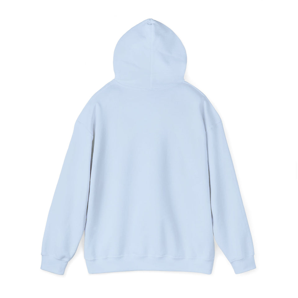 What Day Is It Today? Unisex Heavy Blend™ Hooded Sweatshirt