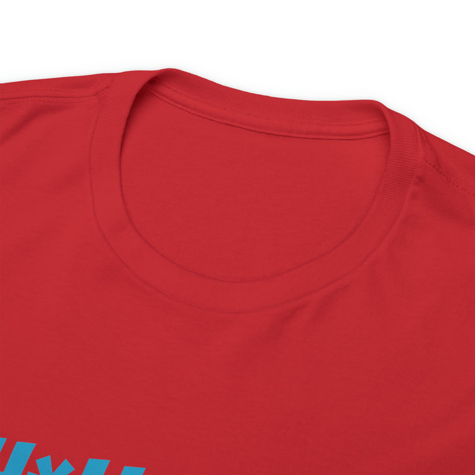 Carolina Panthers Football Unisex Heavy Cotton Tee