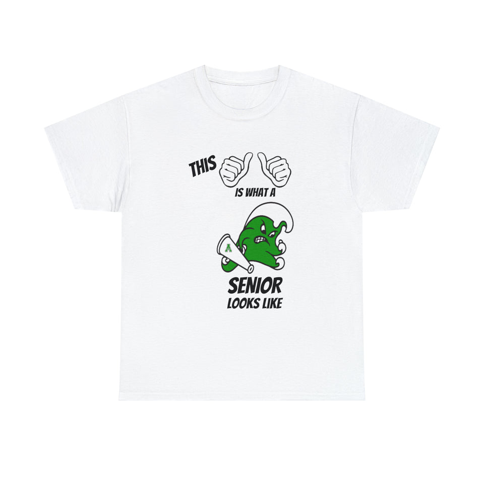 This Is What A Ashbrook High School Senior Looks Like Class Of 2024 Unisex Heavy Cotton Tee