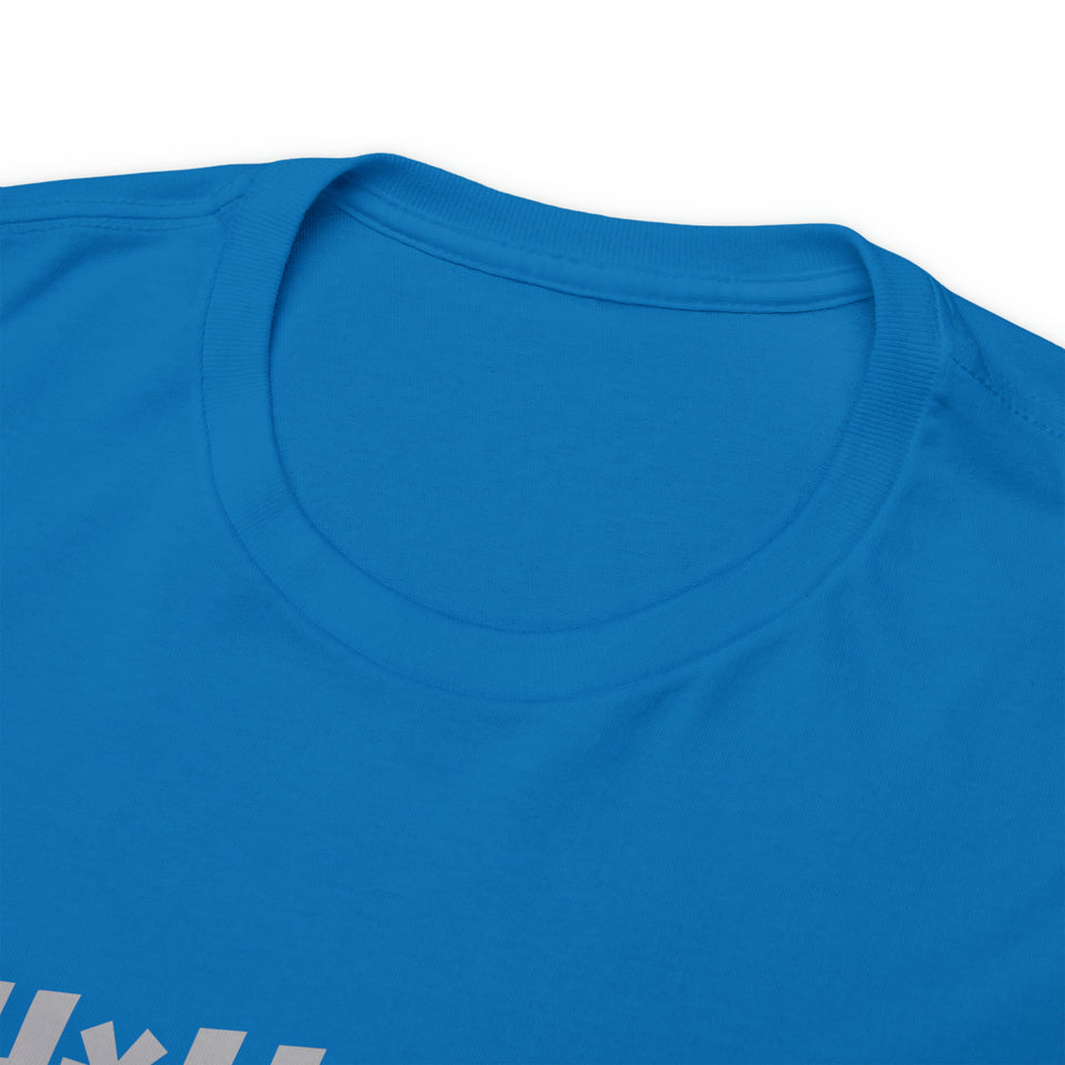 Detroit Lions Football Unisex Heavy Cotton Tee