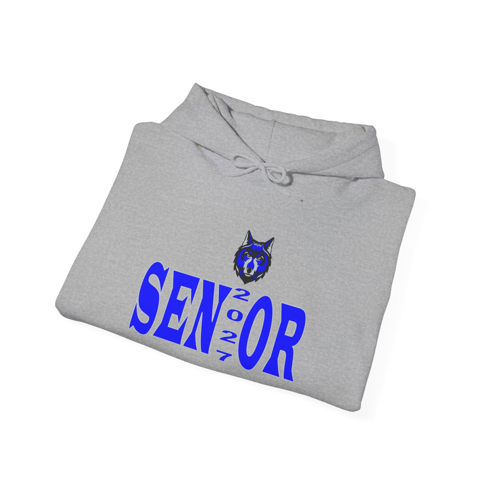 Parkwood HS Senior 2027 Unisex Heavy Blend™ Hooded Sweatshirt