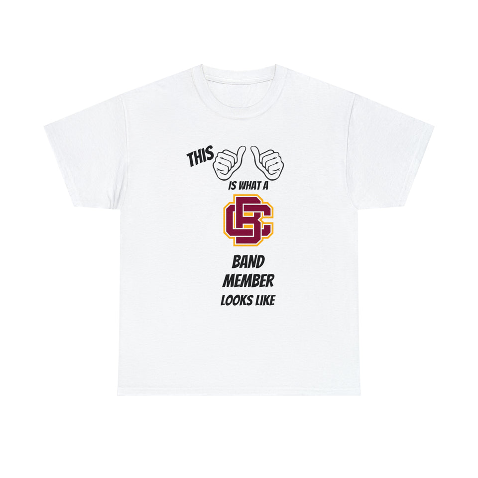 This Is What A Bethune Cookman Band Member Looks Like Unisex Heavy Cotton Tee