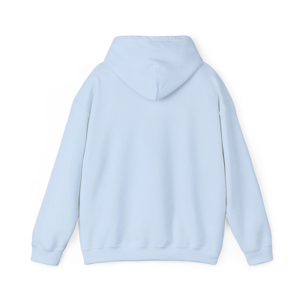 What Day Is It Today? Unisex Heavy Blend™ Hooded Sweatshirt