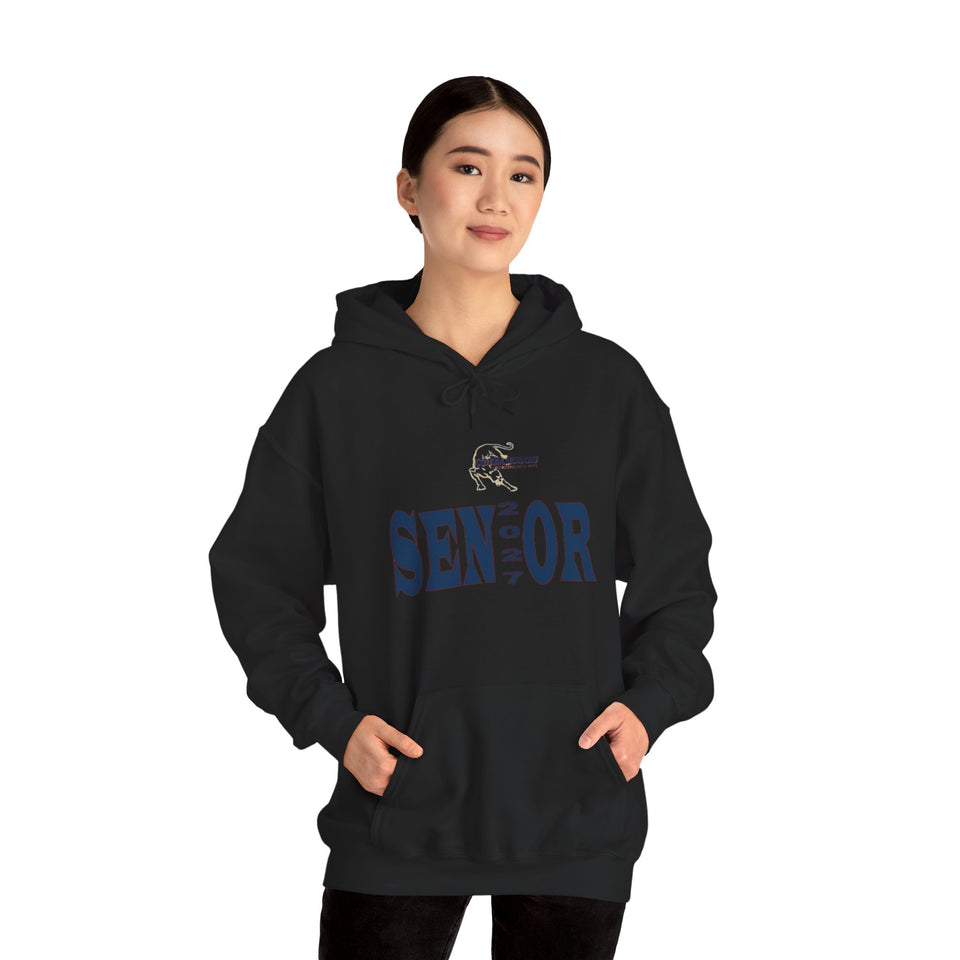 Central Academy of Tech & Arts Senior 2027 Unisex Heavy Blend™ Hooded Sweatshirt