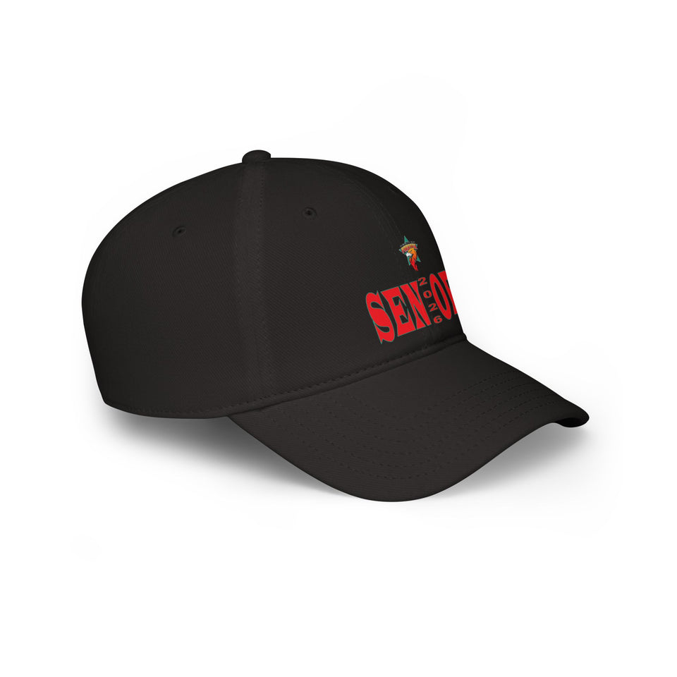 South Providence HS Low Profile Baseball Cap