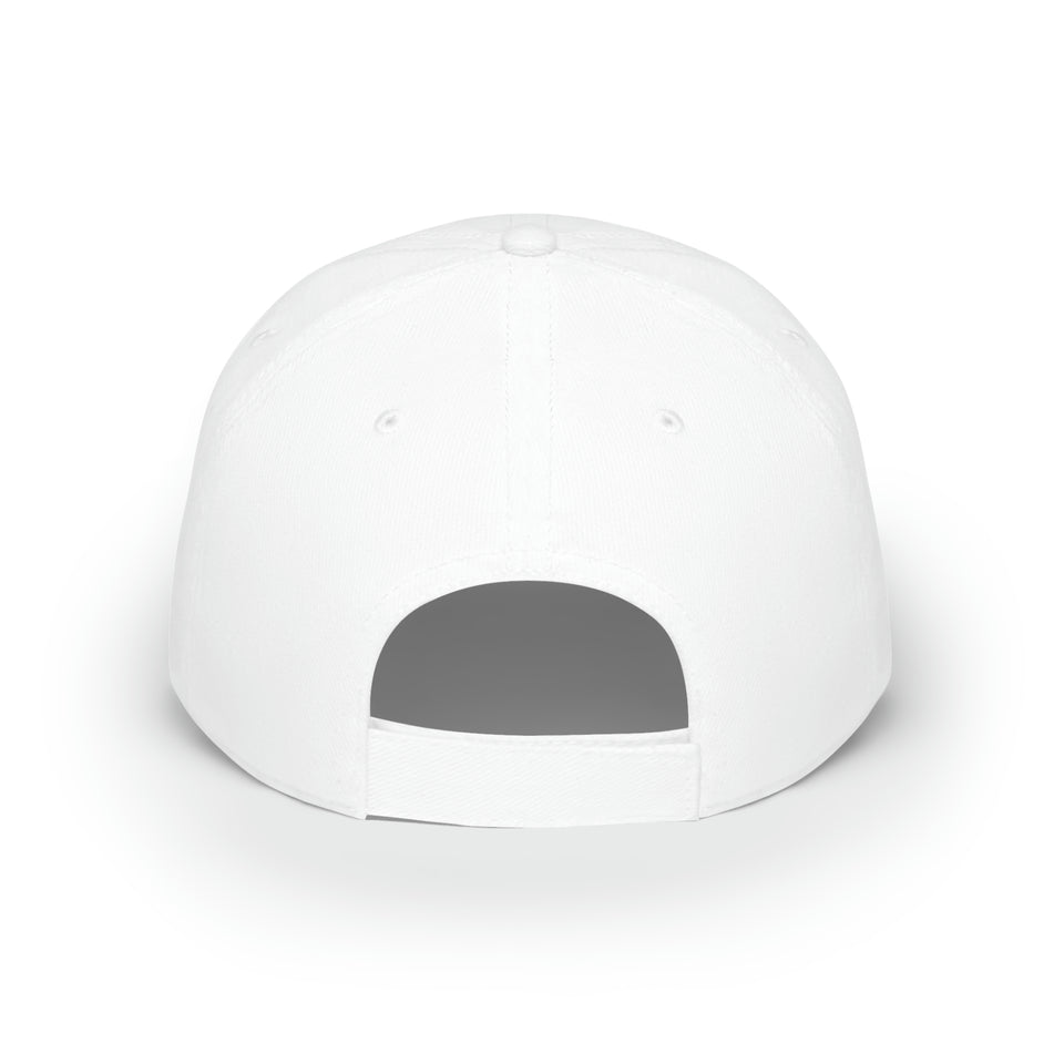 Lake Norman Charter School Low Profile Baseball Cap