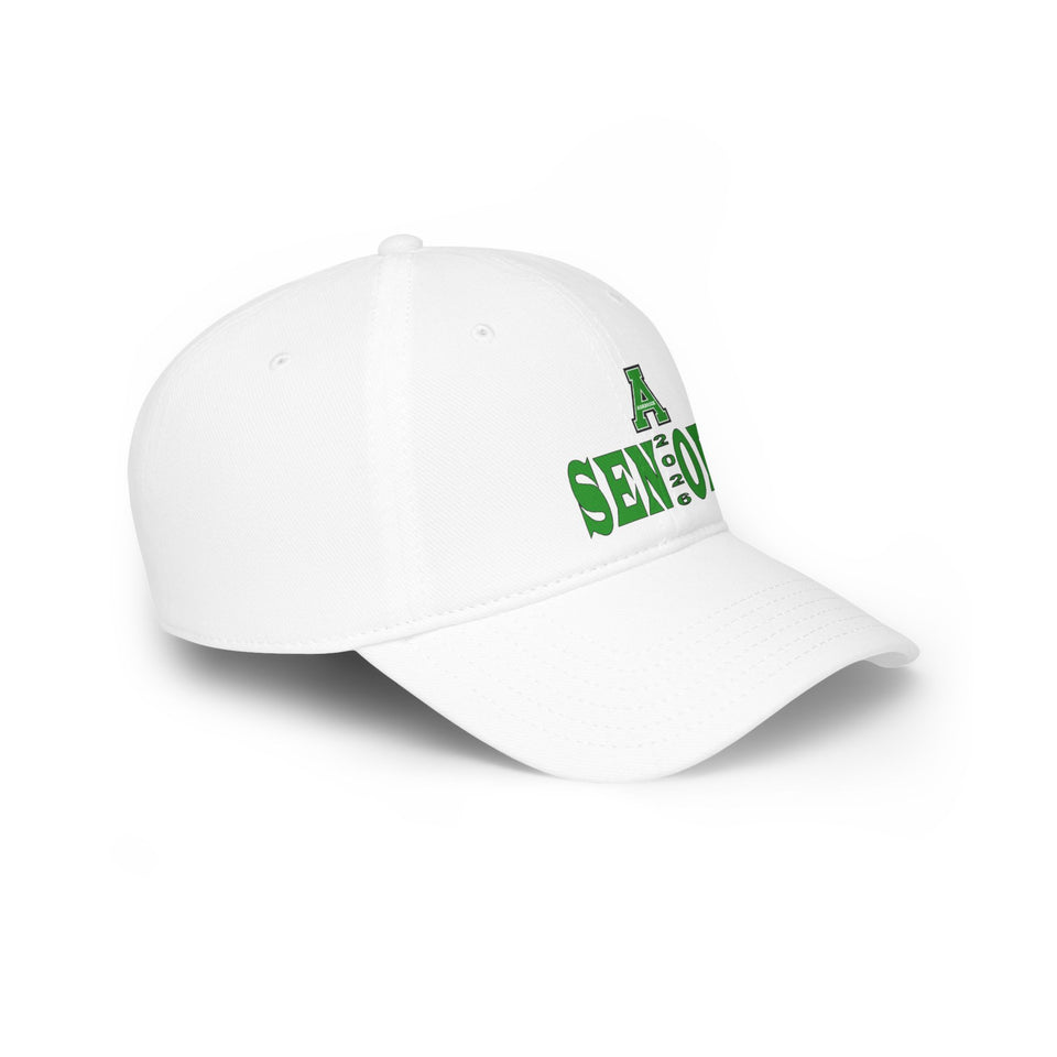 Ashbrook HS Low Profile Baseball Cap