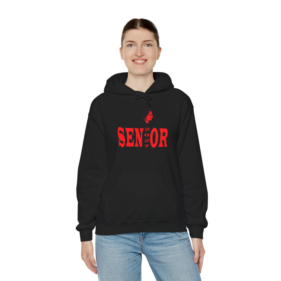 South Point HS Senior 2027 Unisex Heavy Blend™ Hooded Sweatshirt