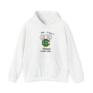 Bessemer City Alumni Unisex Heavy Blend™ Hooded Sweatshirt