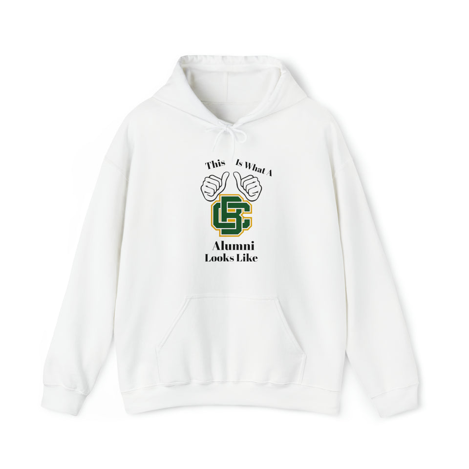 Bessemer City Alumni Unisex Heavy Blend™ Hooded Sweatshirt