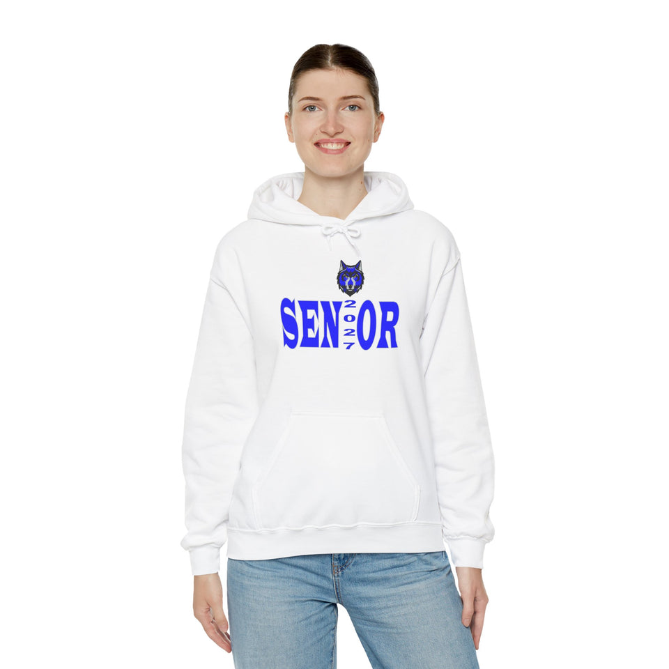 Parkwood HS Senior 2027 Unisex Heavy Blend™ Hooded Sweatshirt