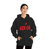 South Point HS Senior 2027 Unisex Heavy Blend™ Hooded Sweatshirt